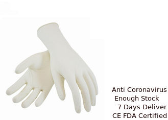 China Medical  Examination Surgical Hand Gloves 100% Latex Material Waterproof supplier