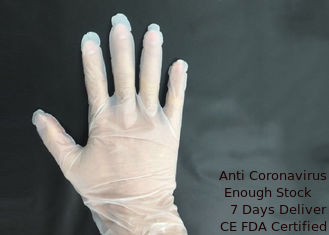China Smooth  Powder Free Vinyl Gloves , Disposable Sterile Gloves Eco Friendly supplier