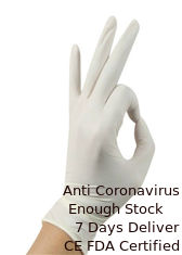 China Ambidextrous Clear Food Service Gloves Prevent Roll Back High Softness supplier