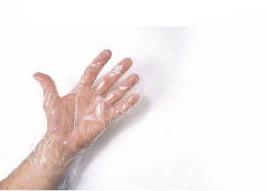 OEM ODM Surgical Hand Gloves Biodegradable  Transparent Natural Rubber Latex  supplier