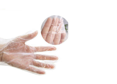 OEM ODM Surgical Hand Gloves Biodegradable  Transparent Natural Rubber Latex  supplier