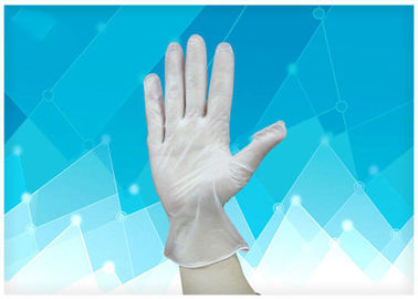 Customized Logo Disposable Polyethylene Gloves Polyvinylchloride Vinyl Material supplier