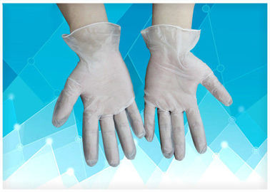 Customized Logo Disposable Polyethylene Gloves Polyvinylchloride Vinyl Material supplier
